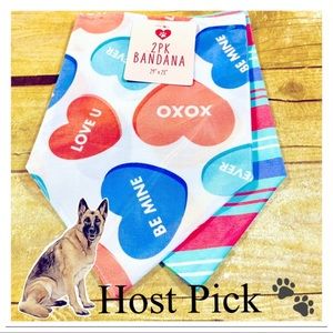 Set of 2 Dog Bandanas